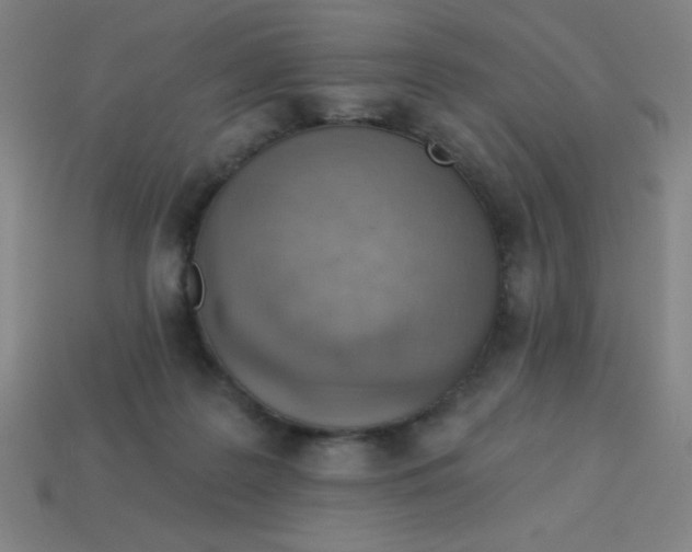 X0000113740219200910141011