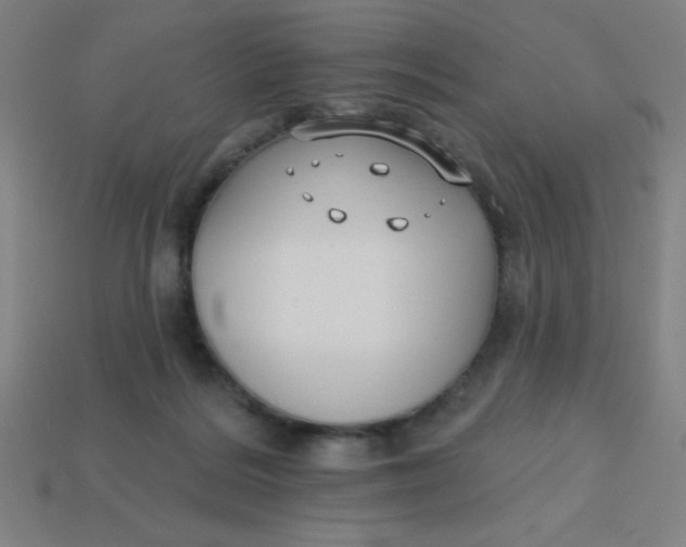 X0000113740220200910141011