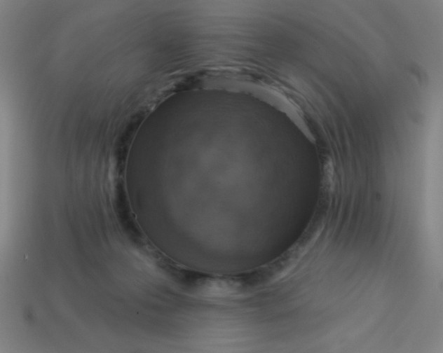 X0000113740223200910141011