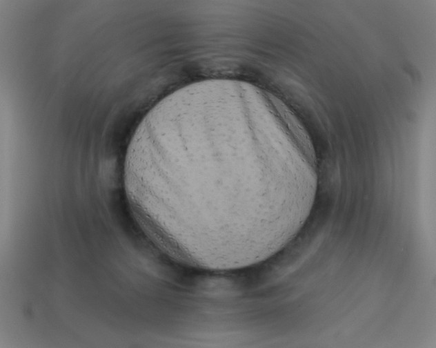 X0000113740224200910141011