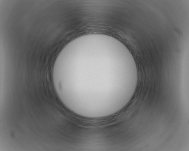 X0000113740225200910141011