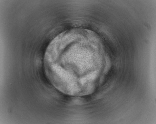 X0000113740226200910141011