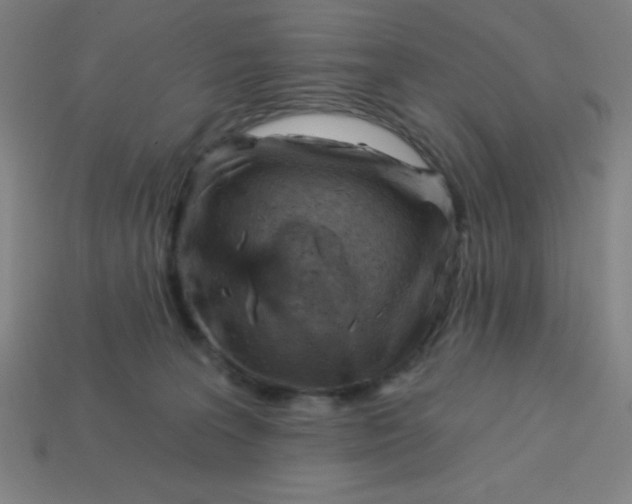 X0000113740227200910141011