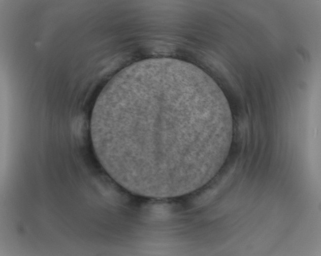 X0000113740228200910141010