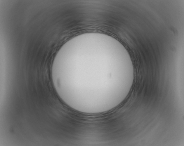 X0000113740229200910141010