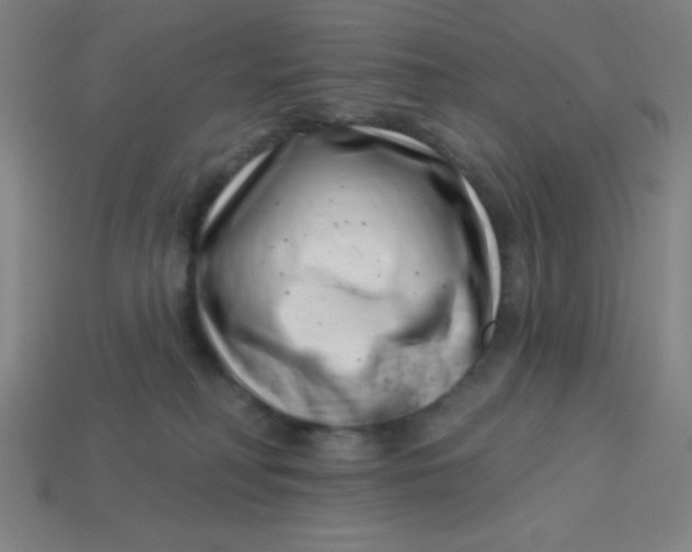 X0000113740230200910141010