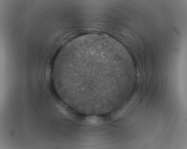 X0000113740231200910141010