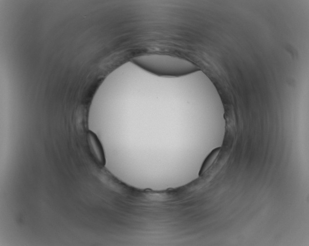 X0000113740233200910141010