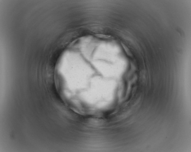 X0000113740234200910141010