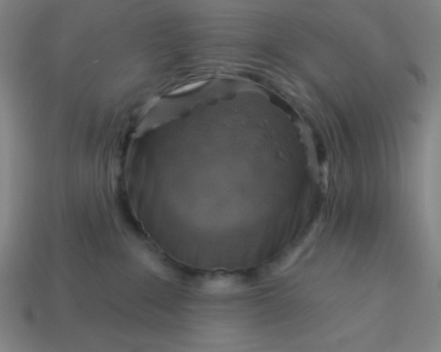 X0000113740235200910141010