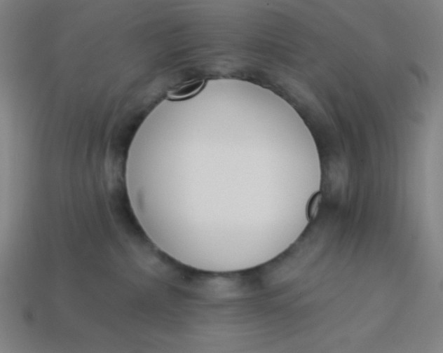 X0000113740236200910141010