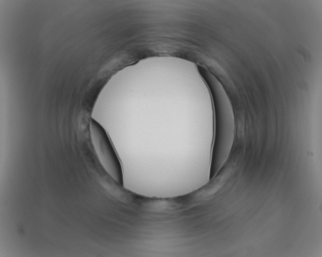 X0000113740237200910141010