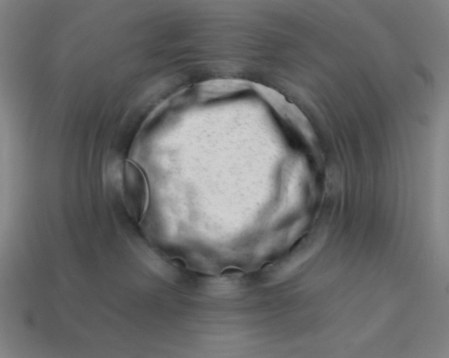 X0000113740238200910141010