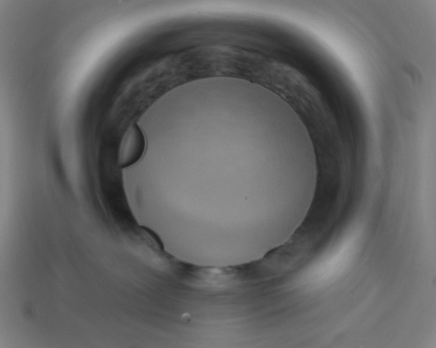 X0000113740239200910141010