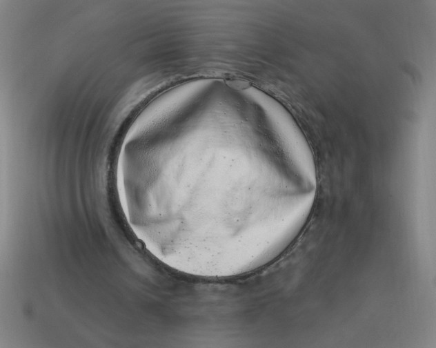 X0000113740242200910141010