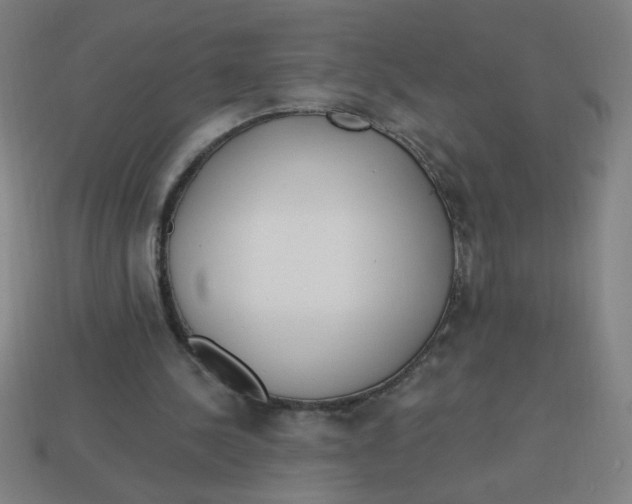 X0000113740244200910141010