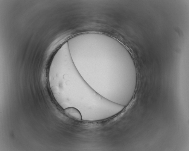 X0000113740245200910141010