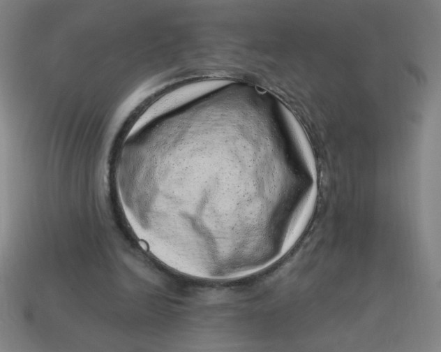 X0000113740246200910141010