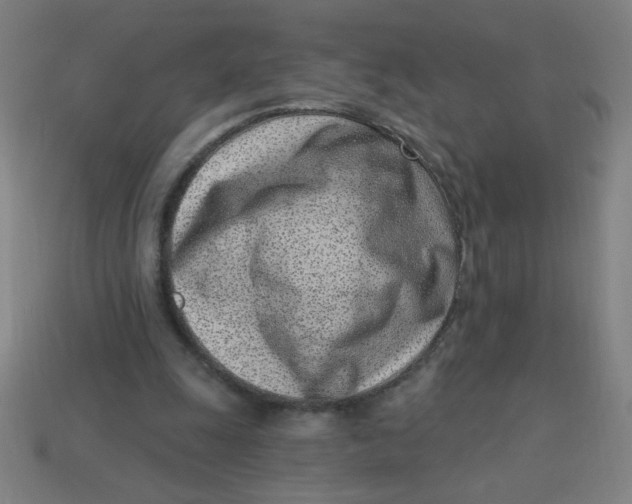 X0000113740247200910141010