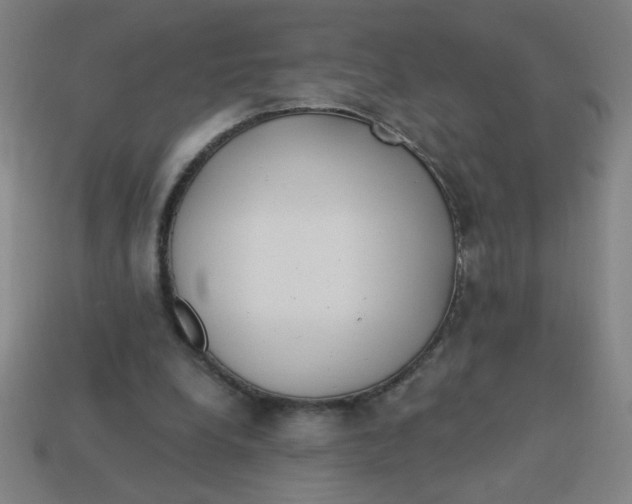 X0000113740248200910141010