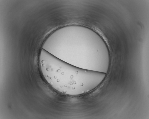 X0000113740249200910141010