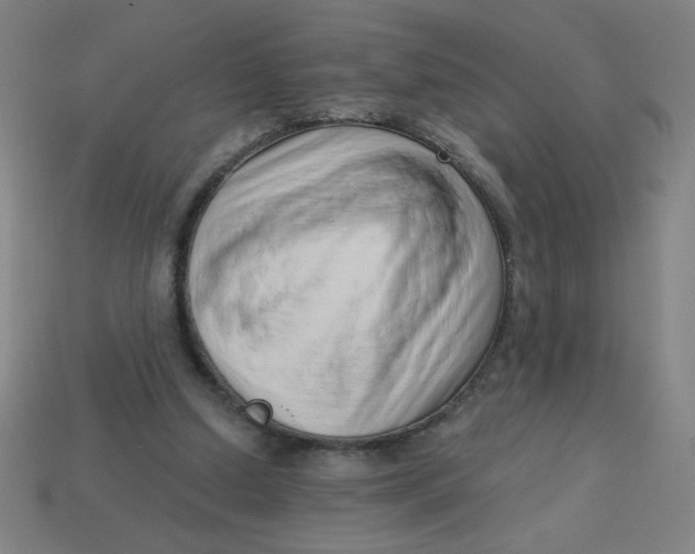 X0000113740250200910141010