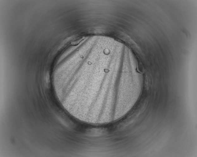 X0000113740251200910141010