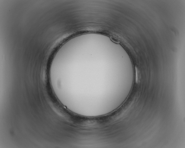 X0000113740252200910141010