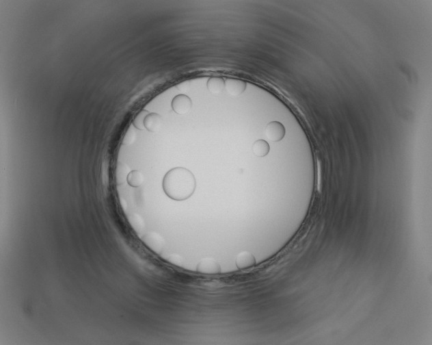 X0000113740253200910141010