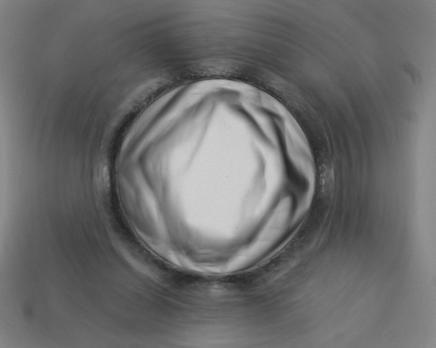 X0000113740254200910141010