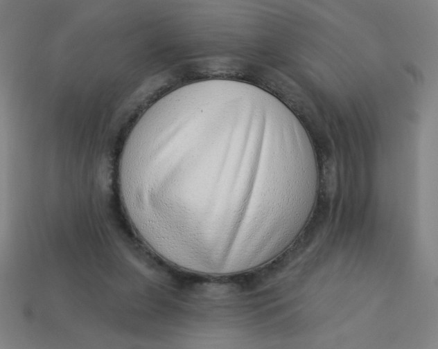 X0000113740255200910141010