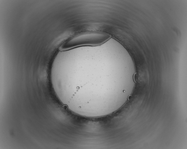 X0000113740256200910141010