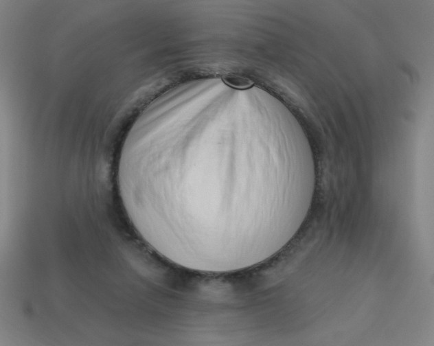 X0000113740258200910141010