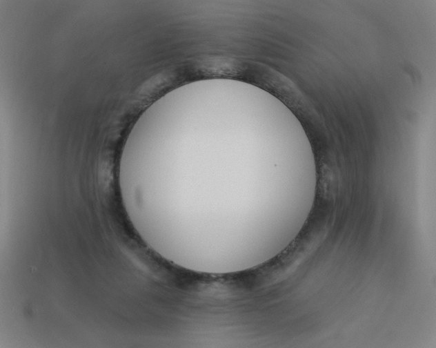 X0000113740259200910141010