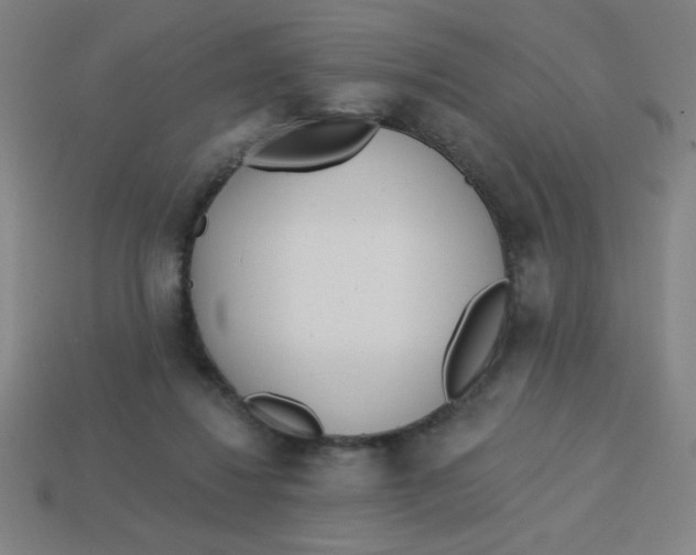 X0000113740260200910141010