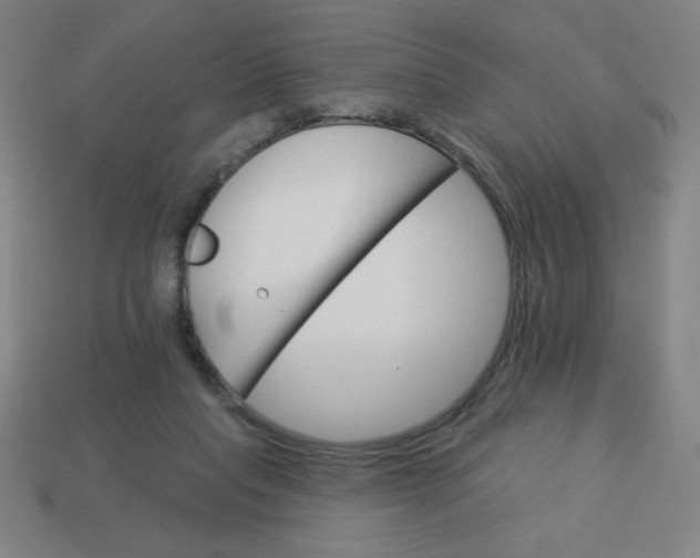 X0000113740261200910141010