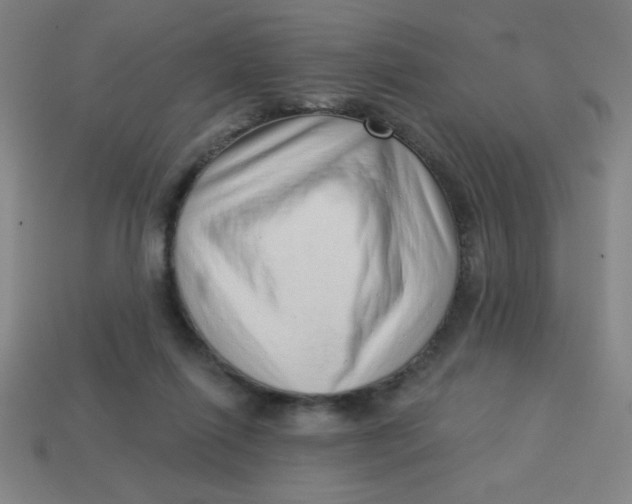 X0000113740262200910141010