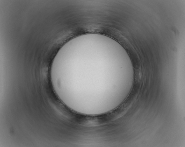 X0000113740263200910141010