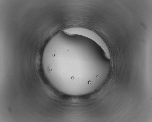 X0000113740264200910141010