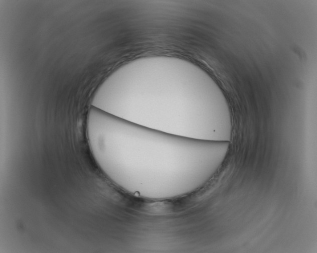 X0000113740269200910141010