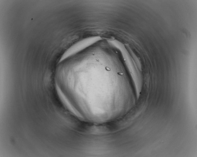 X0000113740270200910141010