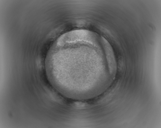 X0000113740272200910141010