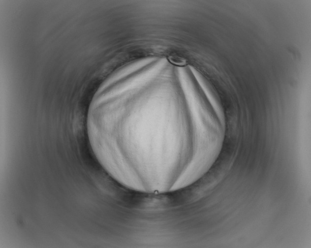 X0000113740274200910141010