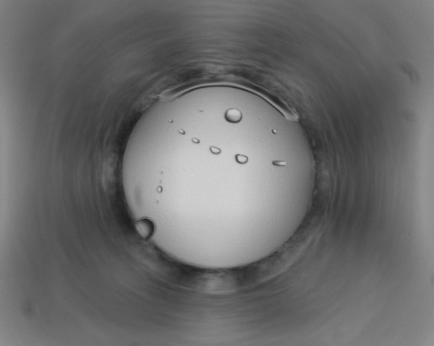 X0000113740275200910141010