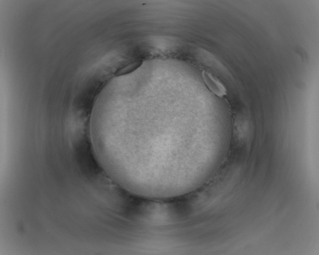 X0000113740276200910141010