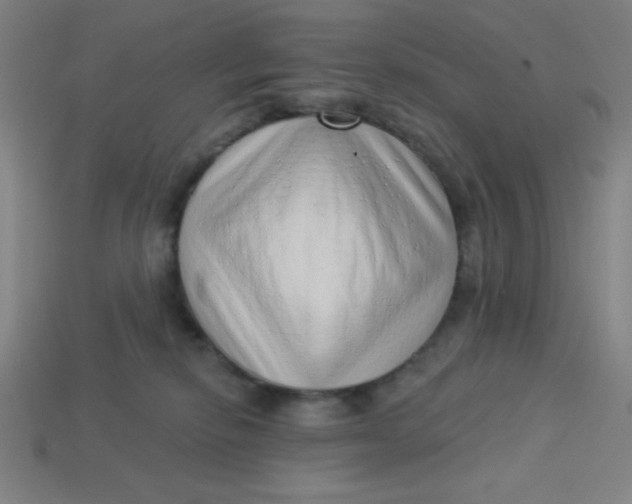 X0000113740278200910141010