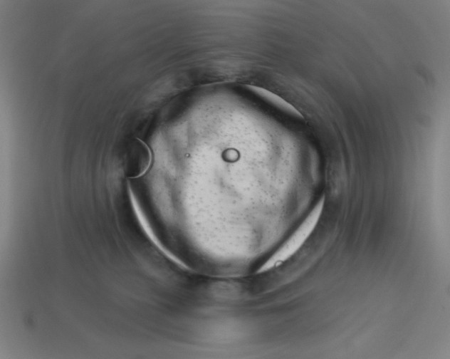 X0000113740279200910141010