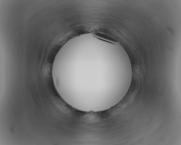 X0000113740280200910141010