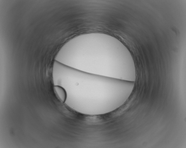 X0000113740281200910141010