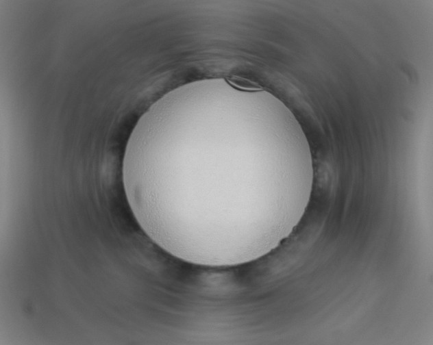 X0000113740283200910141010